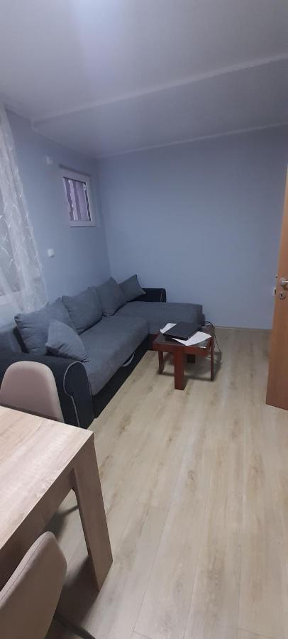 Apartamento Apartman Vanja Paraćin Exterior foto